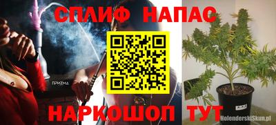 молекула духа Славгород